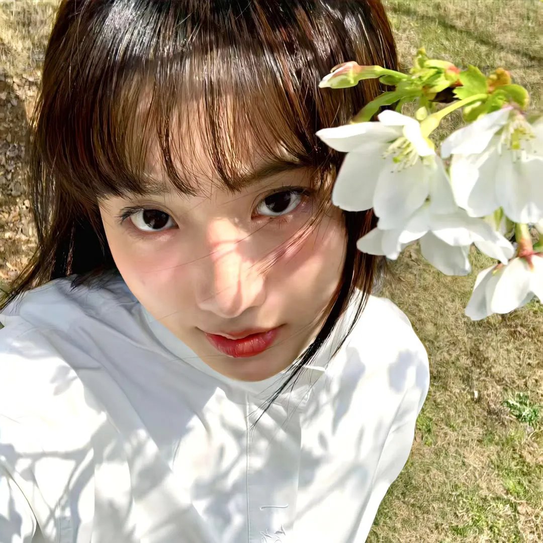 泰迪熊