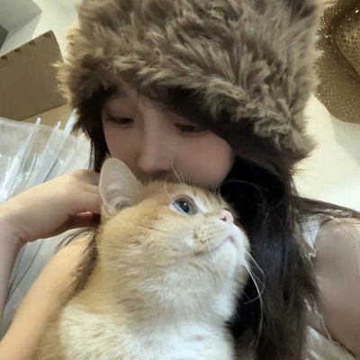 猎狐